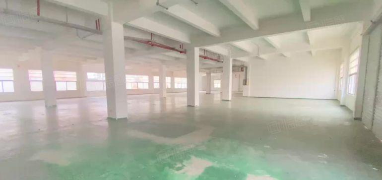 原房东厂房直租！低价！成熟工业园区独院厂房出租独栋厂房出租