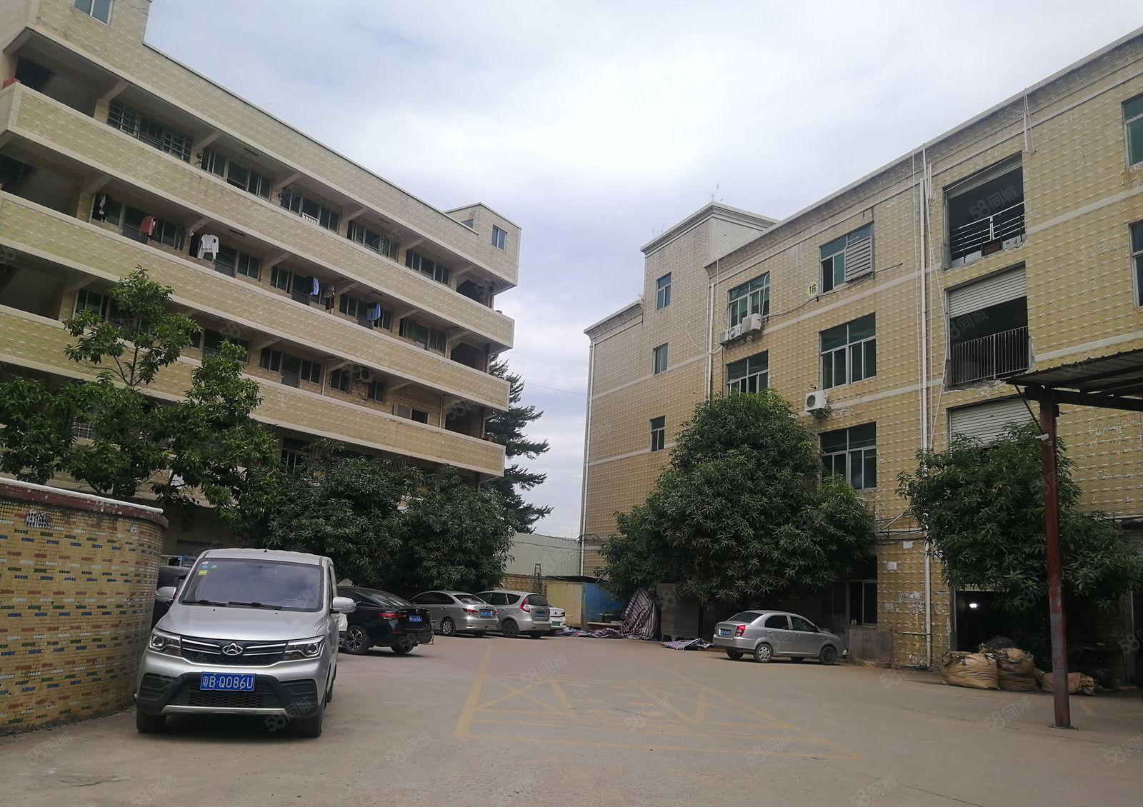 20元700平带地坪漆有办公室坪山碧岭楼上厂房招租