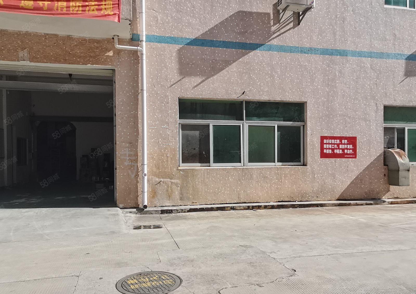 有现成行车坪山坑梓沙梨园附近新空独院一楼600平高4.8米