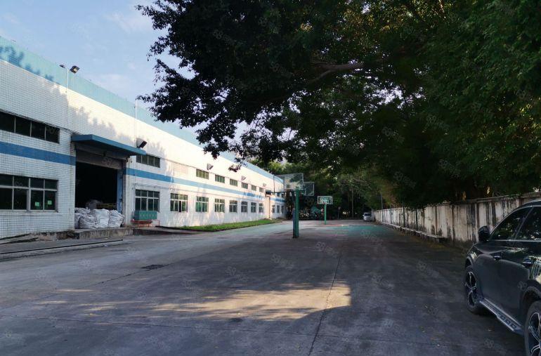 深圳市坪山区钢结构厂房出租，整栋4000平方米，高度10米