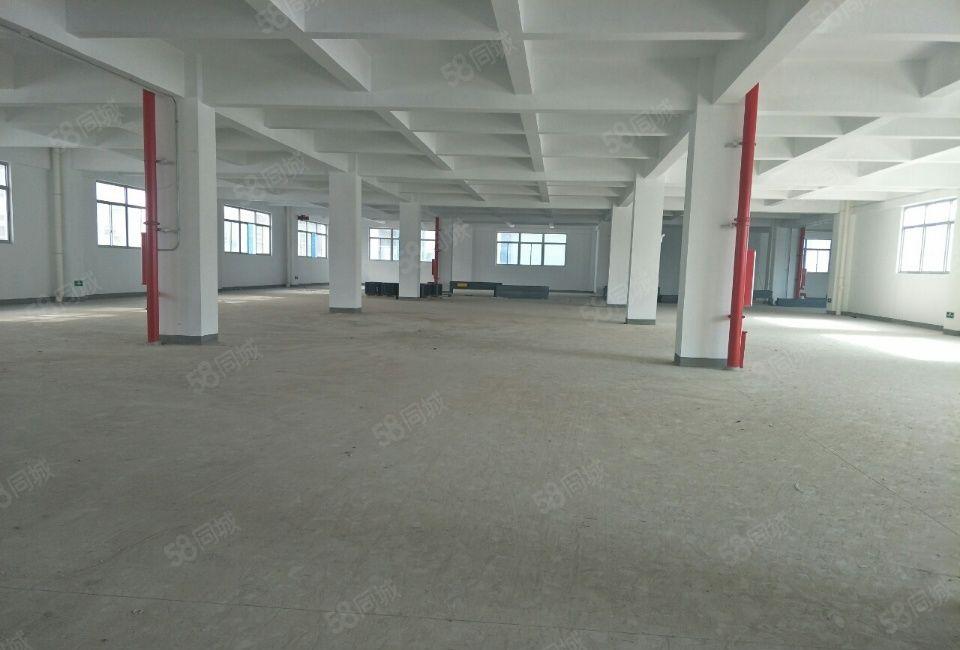 龙岗全新12000平米全新独栋厂房出租可分租