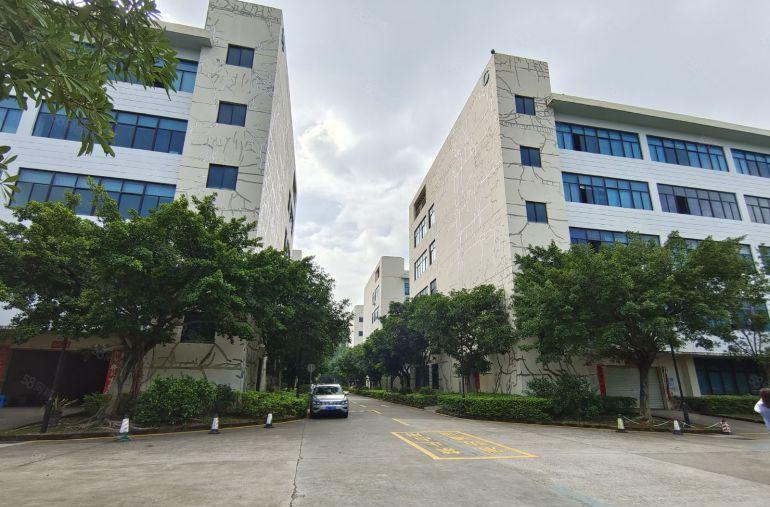 坪山坑梓200至500平1000平精装修办公仓库低价厂房出租