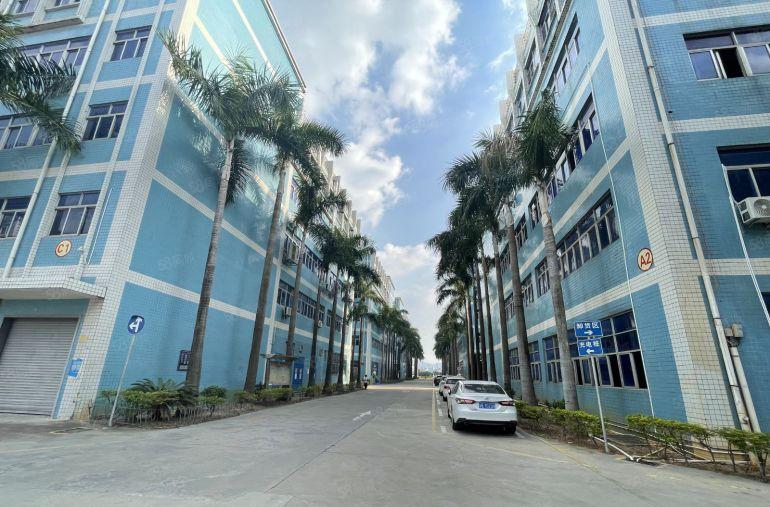 水电齐全坪山原房东科技园楼上500平方带装修厂房仓库出租