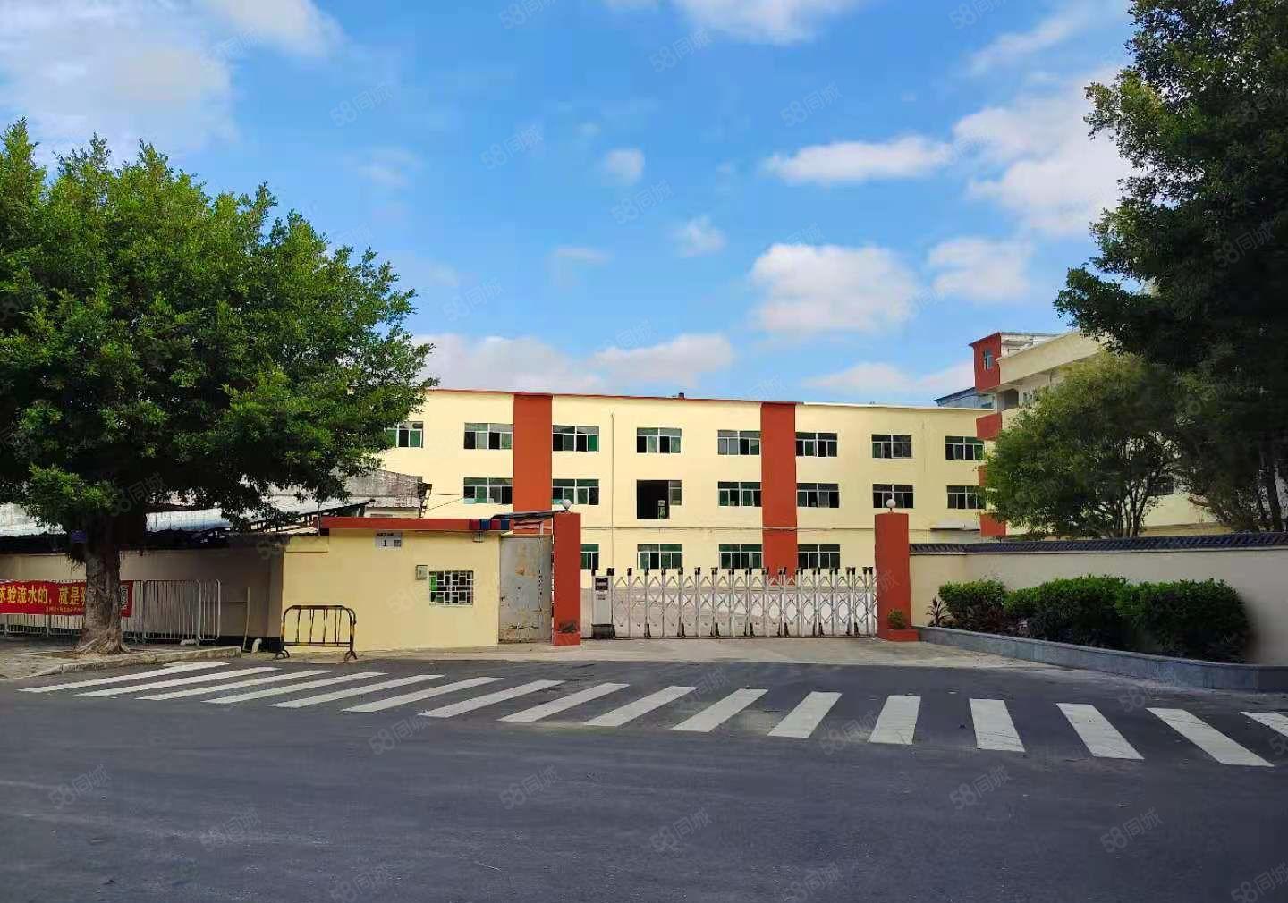 坪山新出原房东独门独院9000平厂房出租1000平起分已翻新