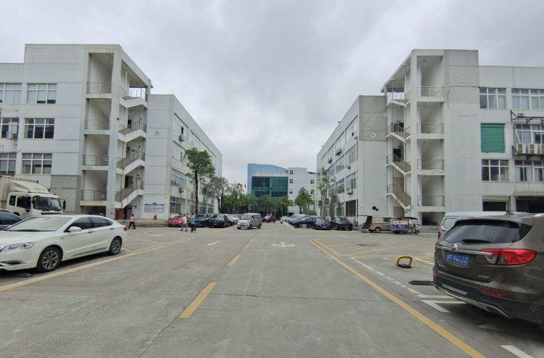 1楼层高6米超大空地坪山原房东带精装修办公室厂房仓库低价出租