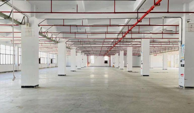 合同十年院子大坪山锦龙原房东独院8000平厂房仓库出租可分租