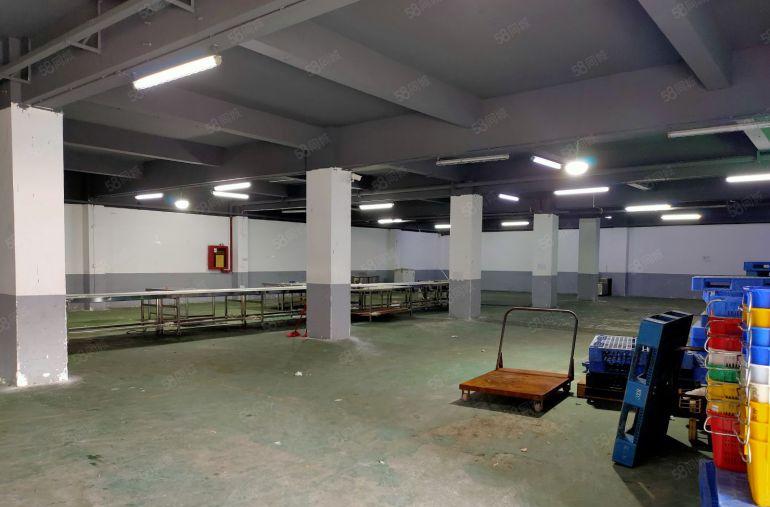 坪山大工业区原房东独院红本厂房一楼2300平厂房仓库出租分租