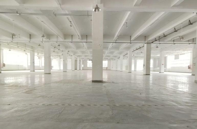 坪山原房东低价高新补贴一楼厂房出租2000平，仓库出租可分租