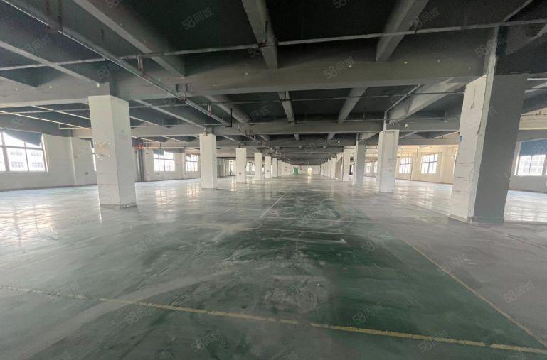 坪山区坑梓宝梓路新出原房东精装修厂房有地坪漆2000平可分租