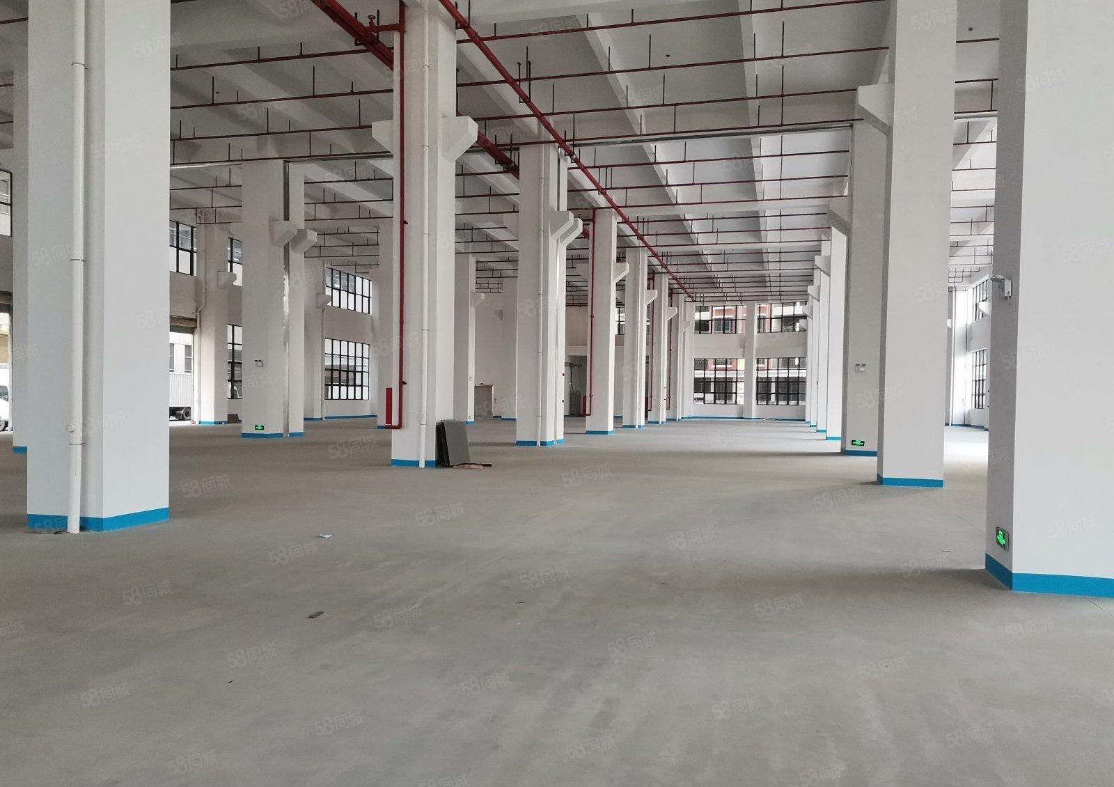 红本厂房深圳市坪山区一楼11米高4500平方米形象好配套齐全