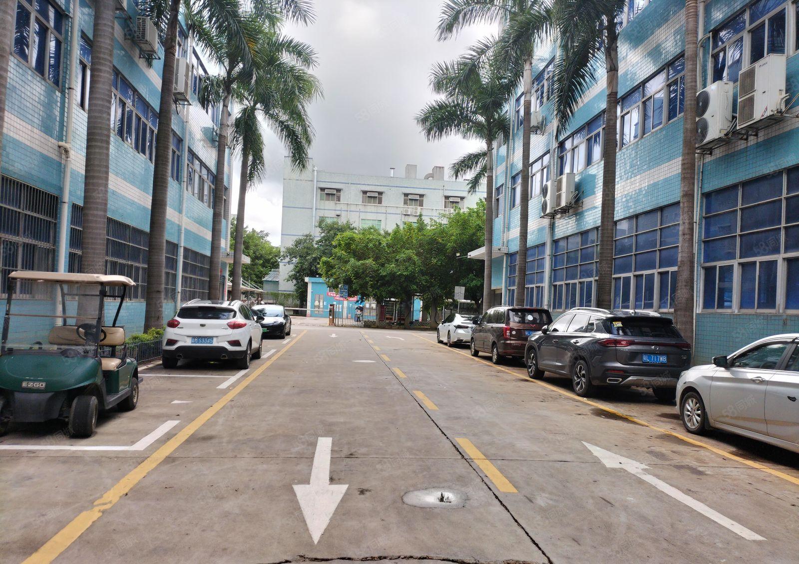 碧岭新出独院一楼6米高1000平，实际面积300平起租有红本