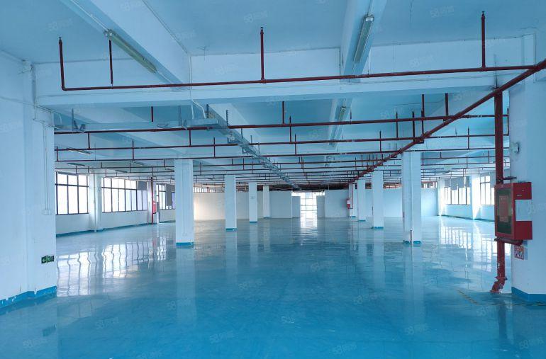 深圳坪山高新区，10万平方米高新科技园红本厂房出租