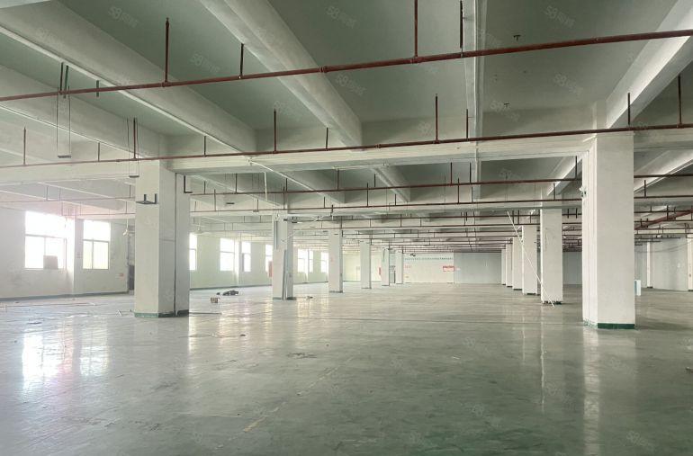 坪山龙田一二楼各1000平现成装修厂房低价出租