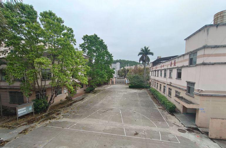 坪山村委独院3200平方价格16红本证件齐全300平起租