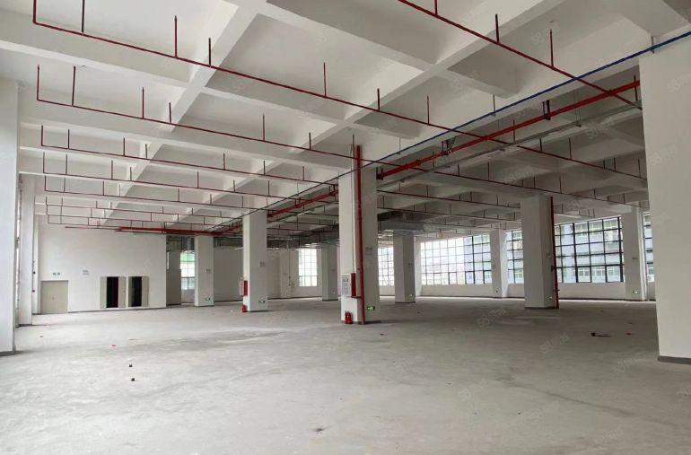 （出租）低至13元笋盘原房东红本直租坪山大工业区好招工可分租