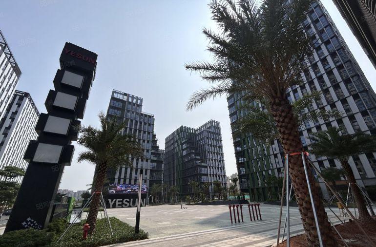 深圳坪山高新生物医疗产业园 500平厂房仓库出租 超长免租期