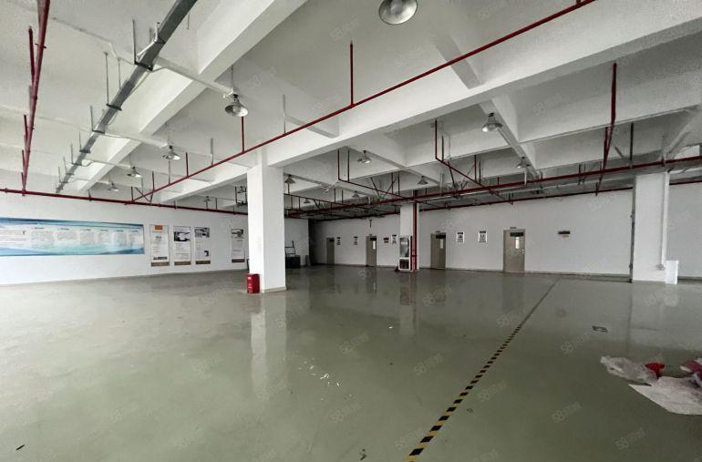 坪山大工业区4万平米独院厂房1800平米单层起租一楼6米高