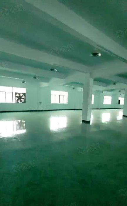 坪山新出2000平精装修厂房出租红本厂房现成办公室车间可分租