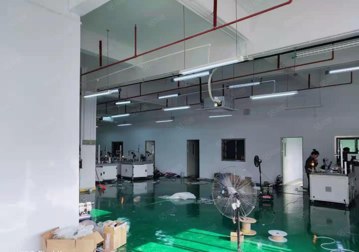 坑梓工业区空出14层16000平米无公摊大小分租