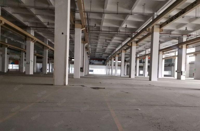 深圳市坪山区1楼9.5米高，11800平米，厂房出租，可分租
