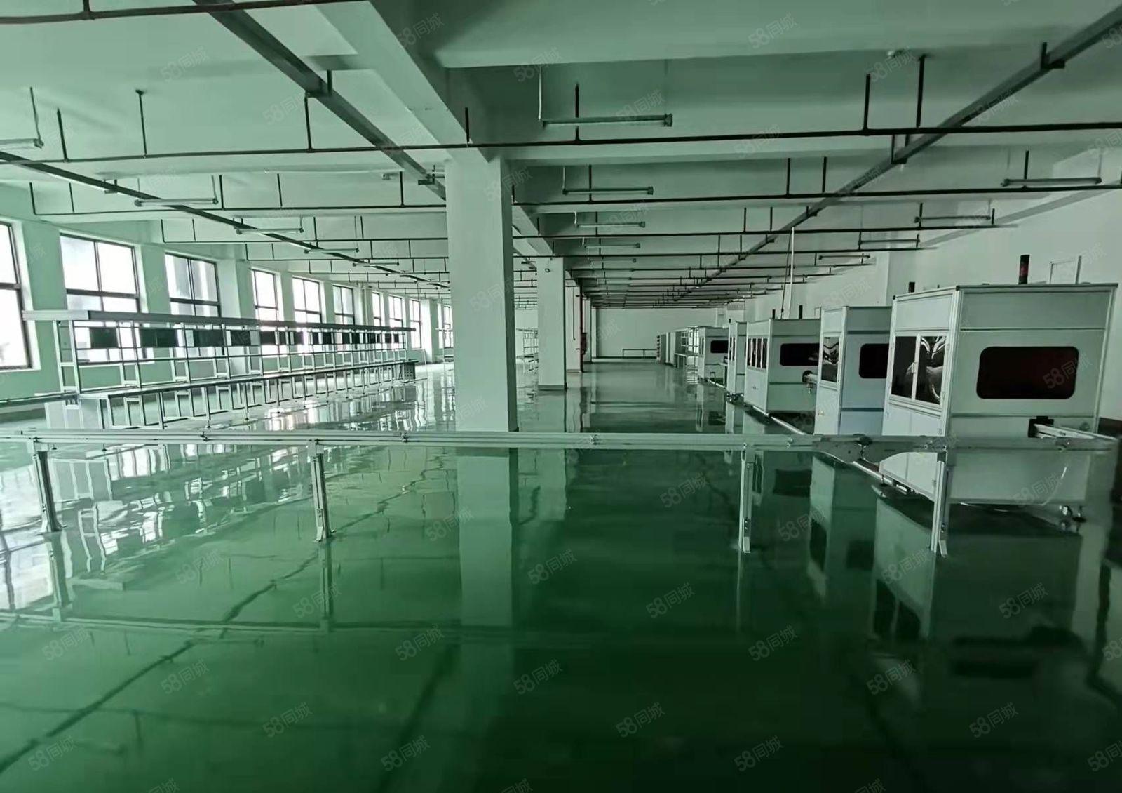 深圳坪山原房东红本厂房出租3楼整层1500平方米，形象好