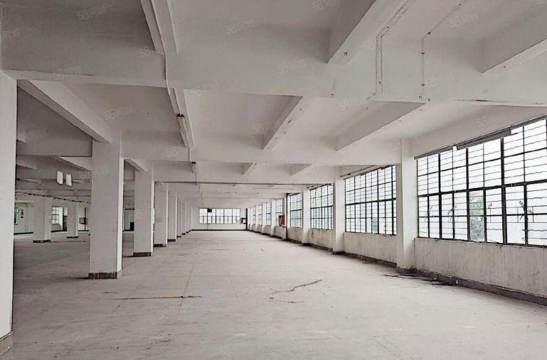 200平起租坪山坑梓工业区2000平标准厂房出租仓库招租