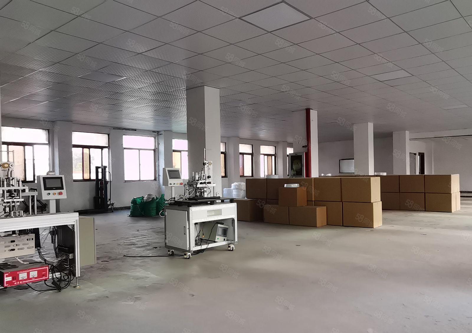 打包价7000元坪山坑梓比亚迪二期附近独院新空出4楼400平