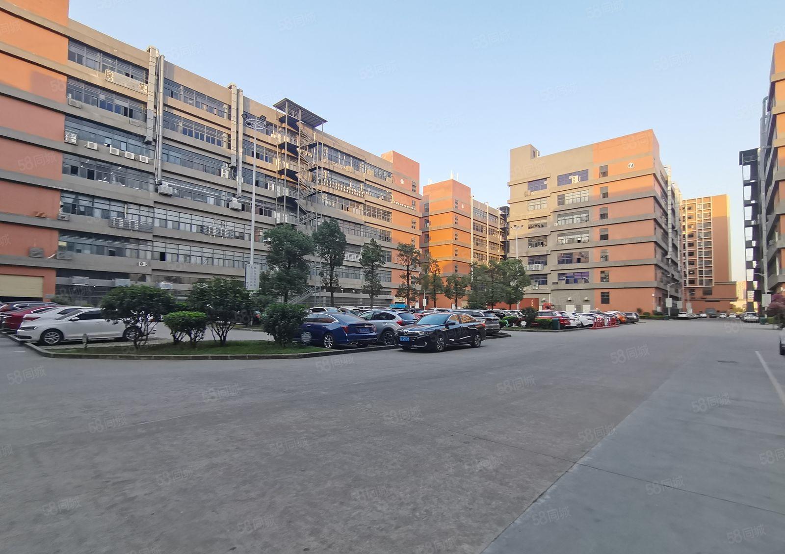 坪山大工业区1000到5000平一二楼厂房原房东21元出租