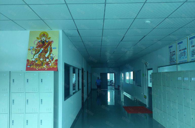 坪山坪大工业区原房东2000平厂房可分租 带装修低价仓库出租