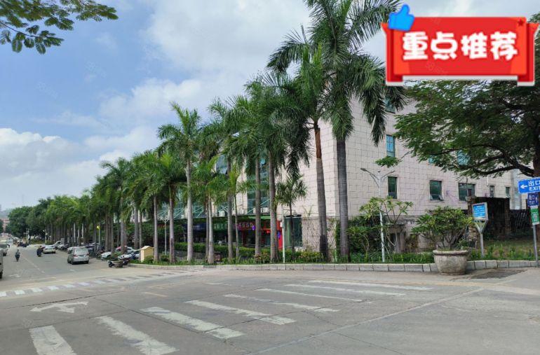 红本原房东产业园低价厂房出租研发办公一楼厂房仓库出租有补贴