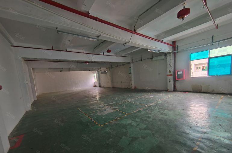 坪山地铁口新出厂房1200平米有地坪漆带办公室