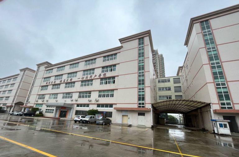坪山坑梓红本5000平工业厂房出租 可分租 工业园仓库出租