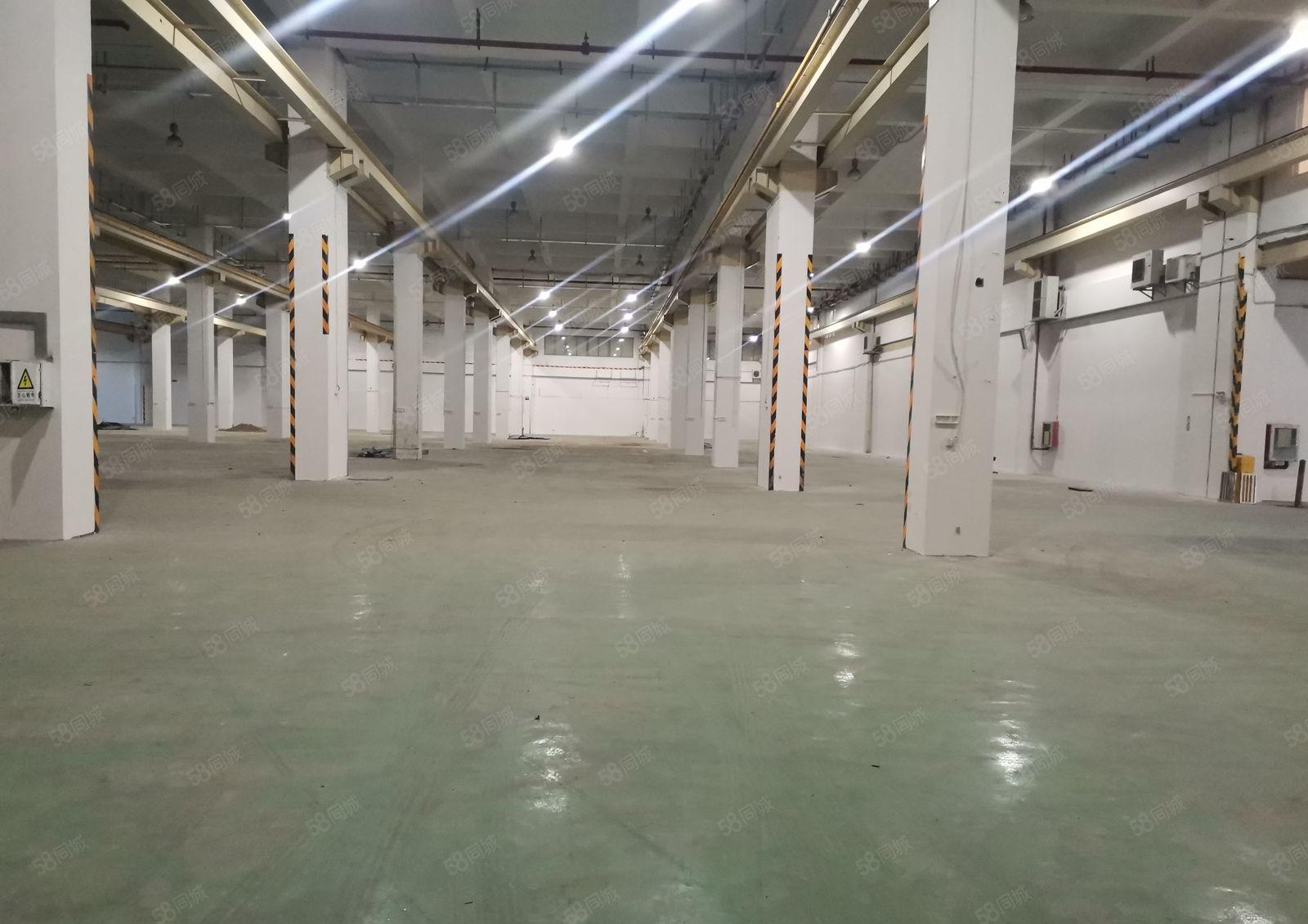 深圳市坪山区一楼12000平方米红本厂房出租，高度10米