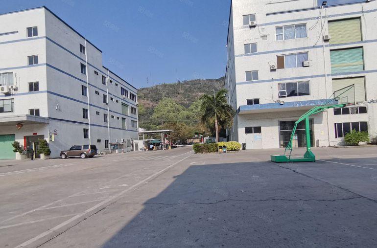 房东直租坪山工业区新出800平精装办公仓库厂房出租