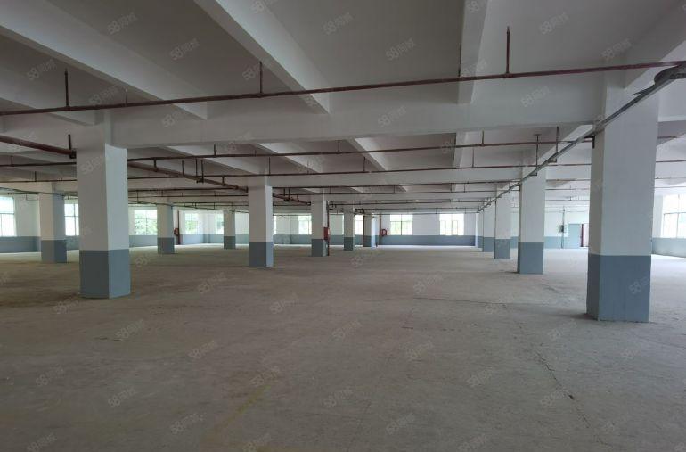 坪山中心地铁口原房东独院厂房仓库6500平出租可办环评易招工