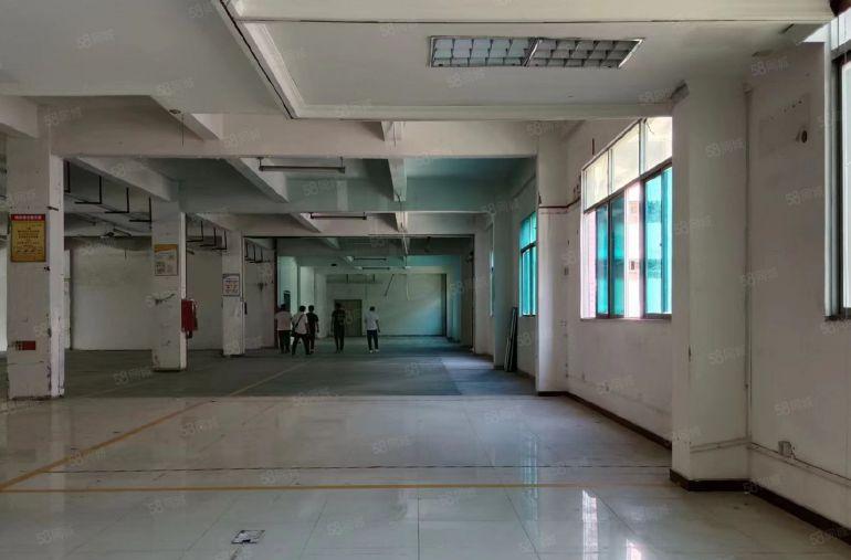 坪山坑梓地铁口1000平厂房仓库低价18元出租500平可分租