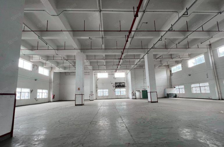 坪山原房东层高7米19000平方厂房仓库出租1200平可分租