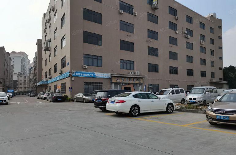 坪山坑梓原房东独院2000平厂房仓库实际面积出租，大小可分租