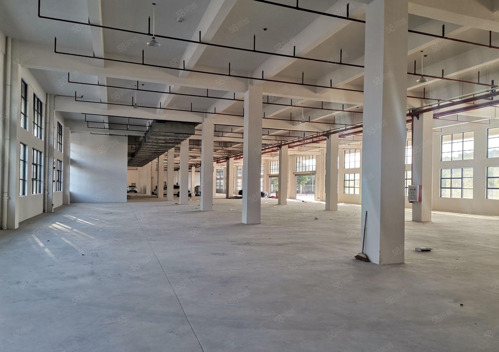 深圳市坪山区坑梓原房东红本整层2000平方米，厂房出租