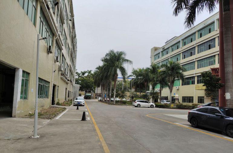 坪山坑梓外环高速旁3楼1000平带精装办公厂房仓库低价出租