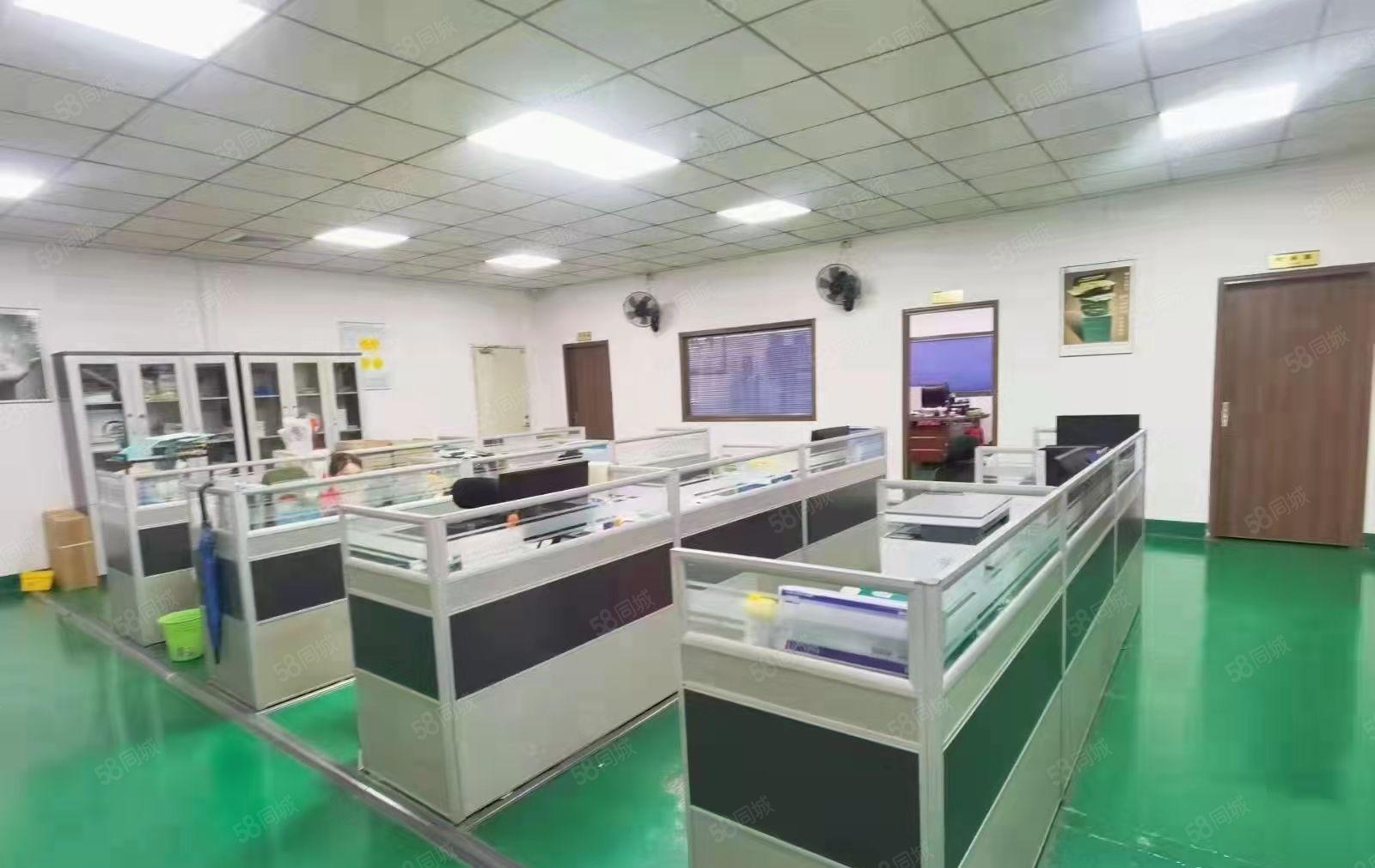 坪山大工业区1000到5000平一二楼厂房原房东21元出租