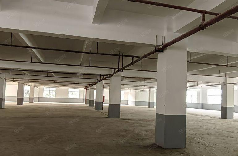 特价优惠打包价1万元坪山坑梓联兴路独院二楼600平高4.8米