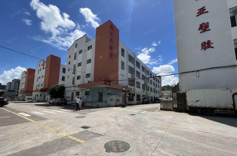 空地超大村委厂房直租坪山科技园一楼600平带装修仓库厂房出租