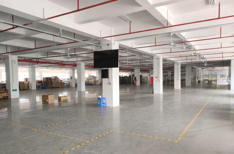 坪山高新区花园式科技园红本厂房2800平米