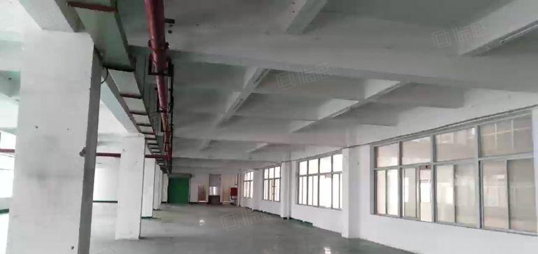 坪山碧岭沙湖标准厂房750平方米可生产研发办公电商贸易加工