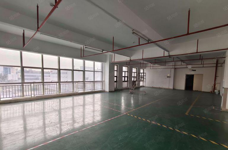 坪山大工业区新出楼上厂房 1000平可分租装修已隔好看视频