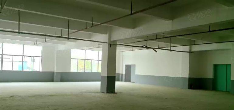 原房东直租坪山龙田莹展大型工业园3楼3400平高4.8米