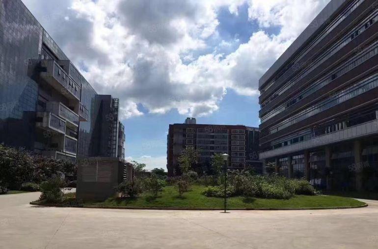 坪山高铁站附近高新工业园原房东红本精装修办公厂房500平出租