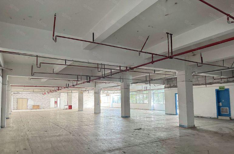 坪山坑梓原房东带装修厂房出租，有红本，形象好