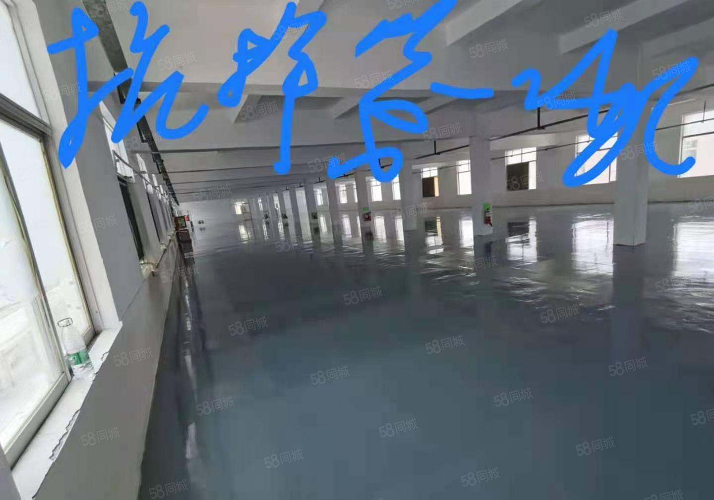 坑梓独门独院厂房出租不分租